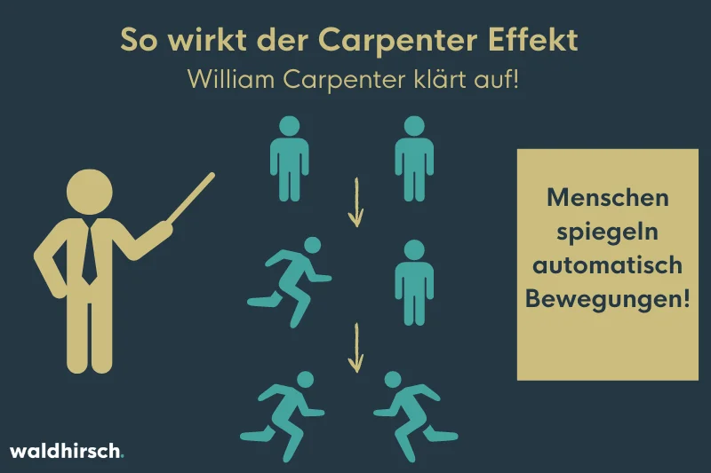 Grafik mit einem Professor und sich bewegenden Menschen zur Darstellung der Wirkungsweise vom Carpenter Effekt